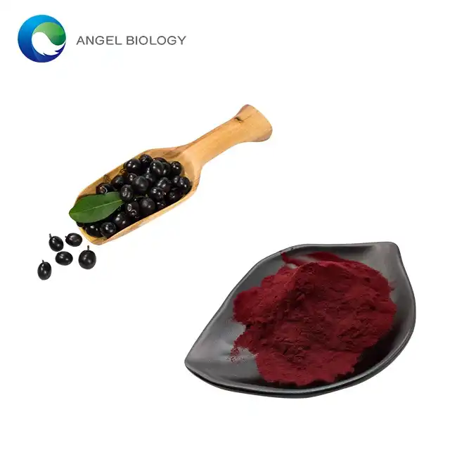 Elderberry Extract Anthocyanin